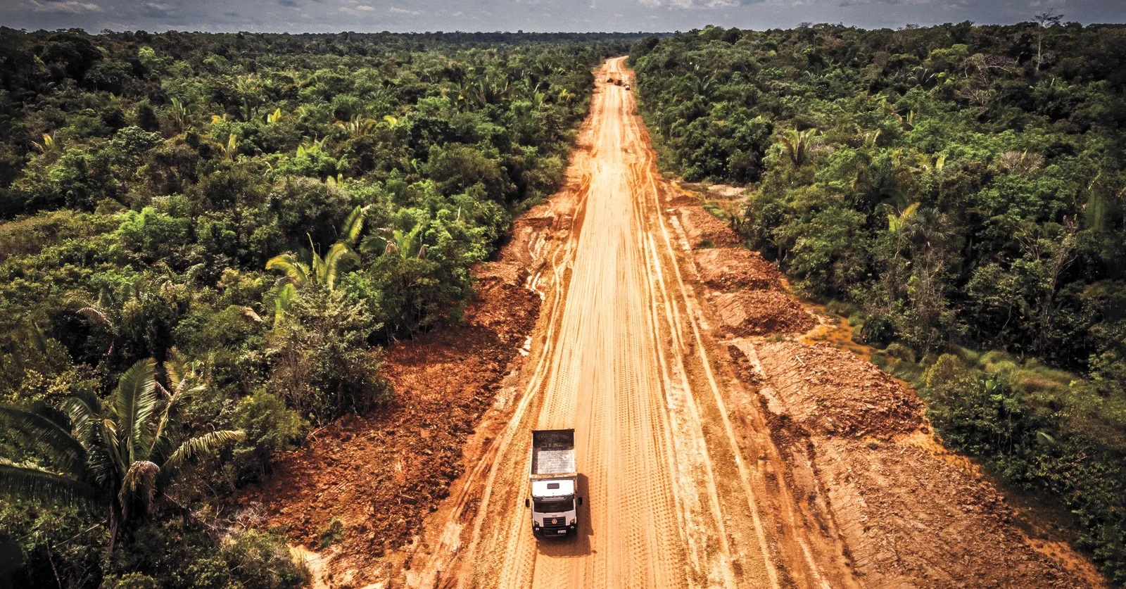 Roads In The Amazon Rainforest